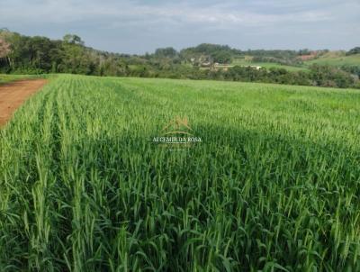 Chcara para Venda, em Frederico Westphalen, bairro 1