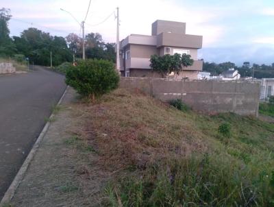 Terreno Urbano para Venda, em , bairro Novo Aparecida
