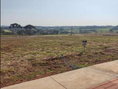 Terreno para Venda, em Frederico Westphalen, bairro So Cristovo