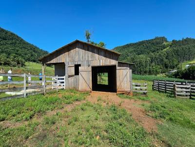 Chcara para Venda, em Frederico Westphalen, bairro Interior