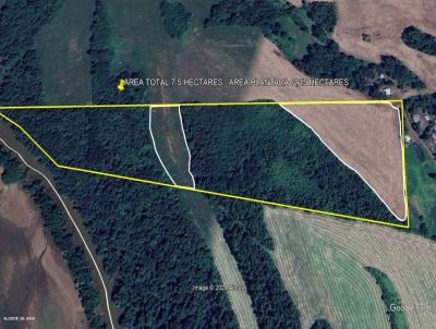 rea Rural para Venda, em Cristal do Sul, bairro Interior