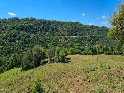 Chcara para Venda, em Frederico Westphalen, bairro Interior