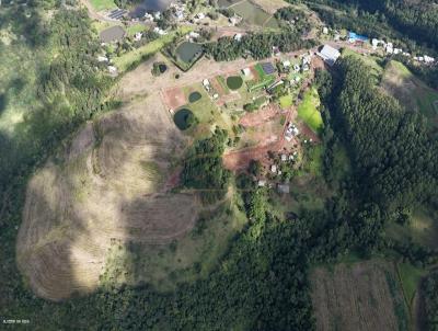�rea Rural para Venda, em Frederico Westphalen, bairro Interior