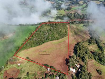 �rea Rural para Venda, em Cristal do Sul, bairro Interior